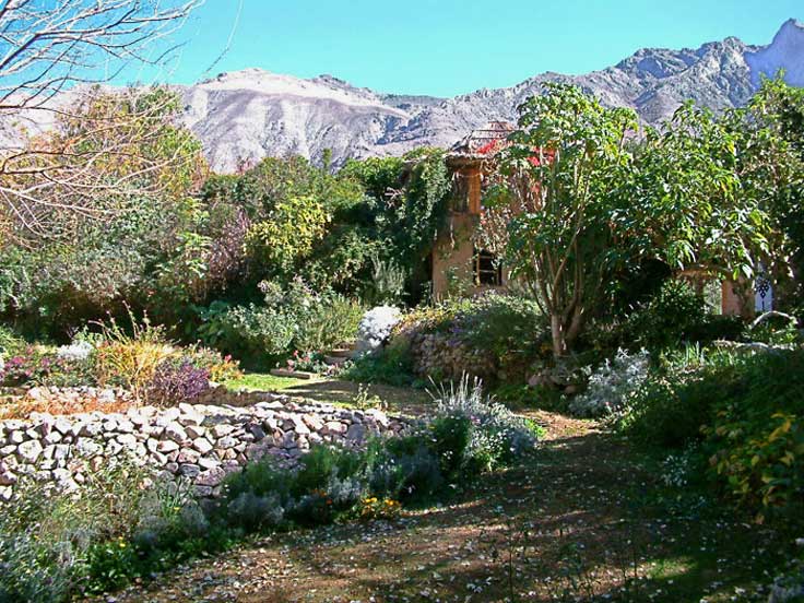 Isabela's garden