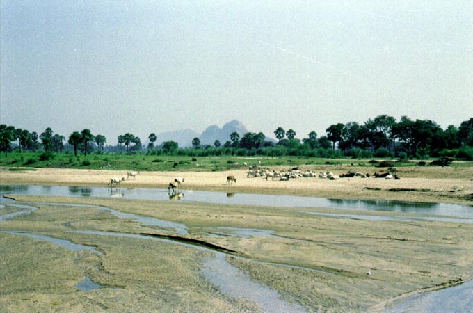 Niranjana river